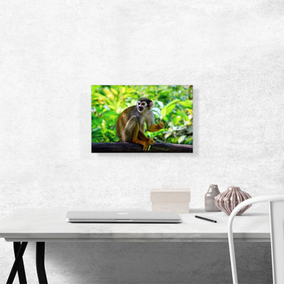 " Monkey In The Jungle "