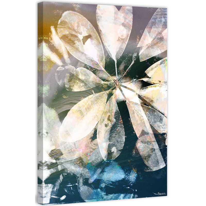 Parvez Taj - Wrapped Canvas Print, 61cm H x 41cm W