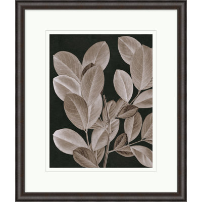 Taupe Foliage 1 Print