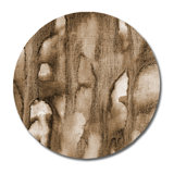 Sepia Print by DecorumBY