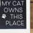 Johnika Box Signs & Plaques