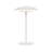 Laurina Metal USB Novelty Lamp