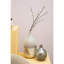 Ancey Glass Table Vase-337941528