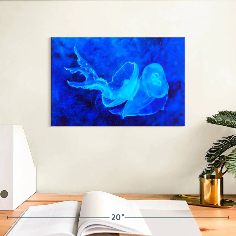 Brampt Bell Shaped Jellyfish, 8" H x 12" W