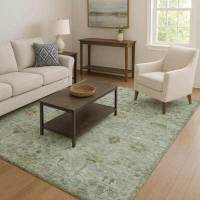 Premium Machine Washable Pinkston Arabesque Rug