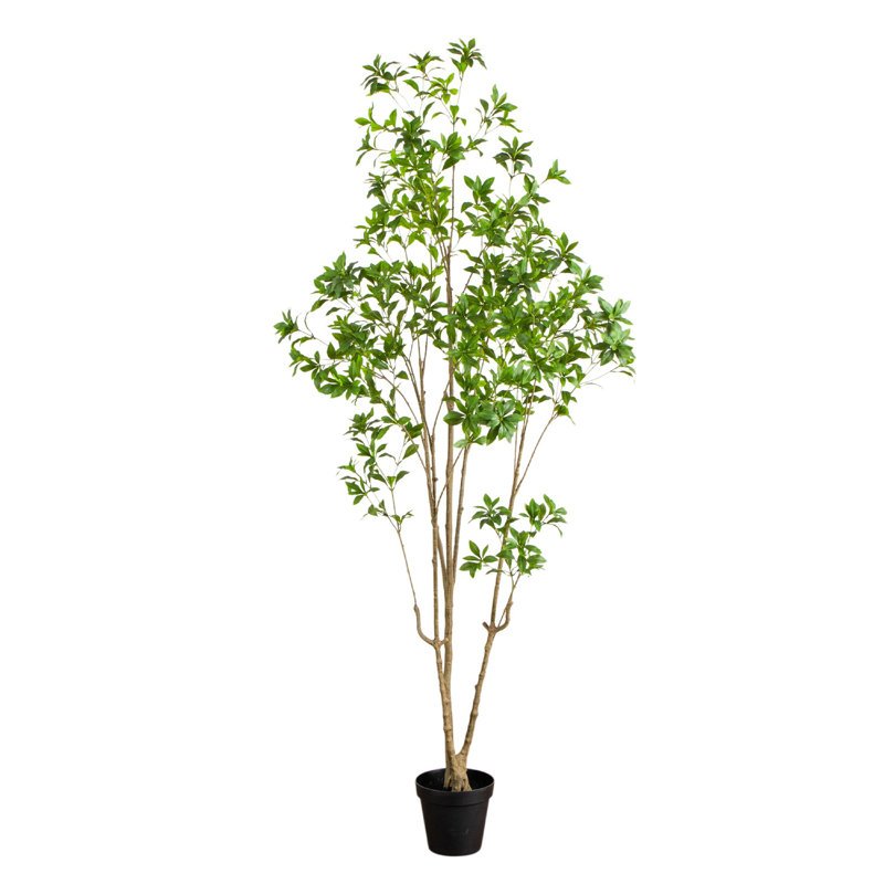 8 pi. Pieris japonais artificiel minimaliste