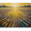 Universal Radiance