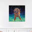 " Moonlight Swim "-49902857-49902858