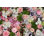 " Mixed Wedding Flowers "
