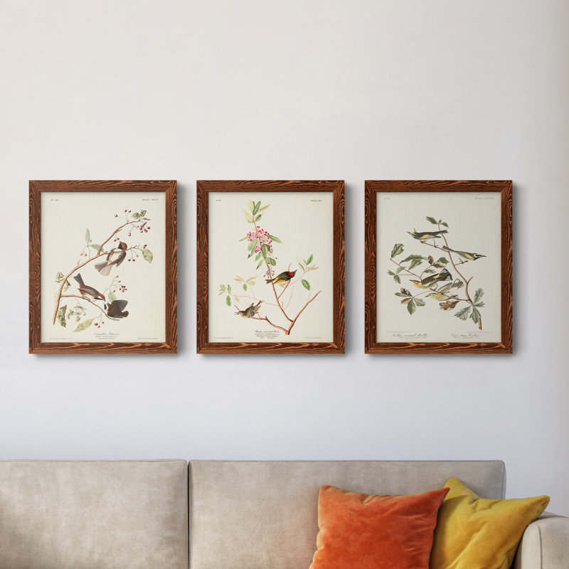 Pl. 194 Canadian Titmouse - Ensemble de 3 reproductions d'art sur toile, H 24 po x l 36 po x P 1,5 po, Érable