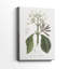 Tropical Botanical IV - Cavas enveloppés de galerie-1483249423