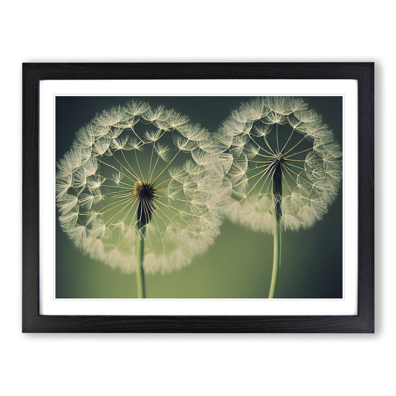 Tremendous Dandelion Flowers - Single Picture Frame Print, Black, 46cm H x 64cm W x 2cm D