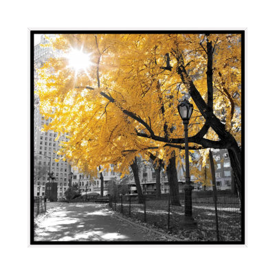«Park Pretty II», reproduction de photo sur toile