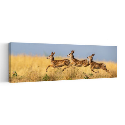 Three Fawns Leaping 1 Piece Wrapped Canvas Panoramic Wall Art