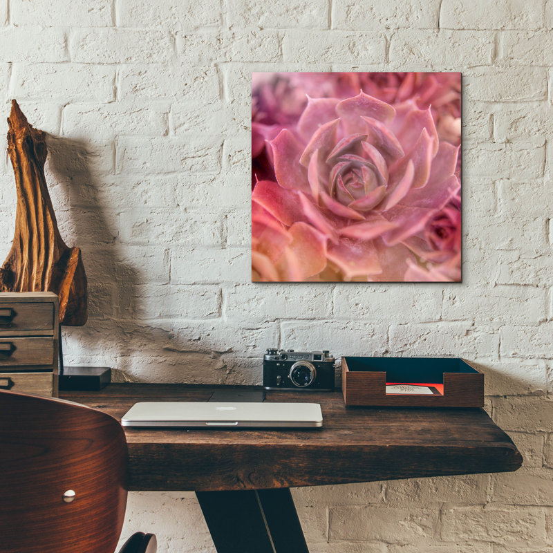 «Succulents 04» par Lightbox Journal, H 12 po x l 12 po x P 0,13 po