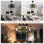 19" Industrial Caged Ceiling Fan with Light Kit and Remote, Farmhouse Fandelier with Metal Accent