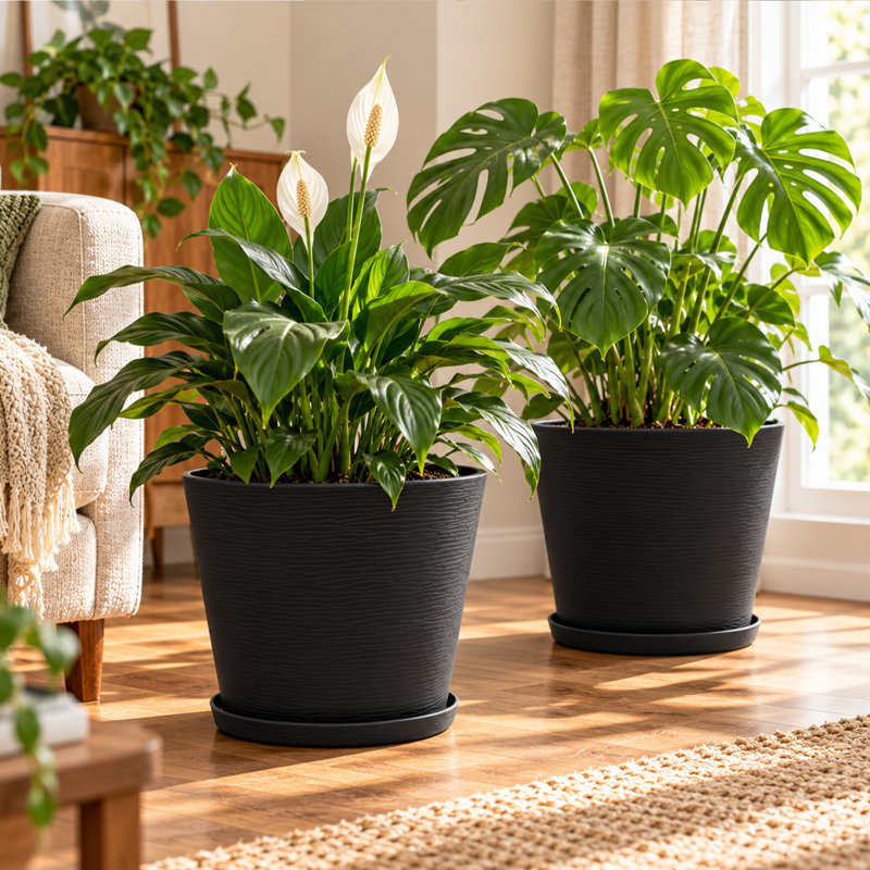 Kozyard pots de fleurs ronds d'intérieur 4Packs avec plateau récupérant l'eau pour le patio, Noir, noir, noir, noir, 4