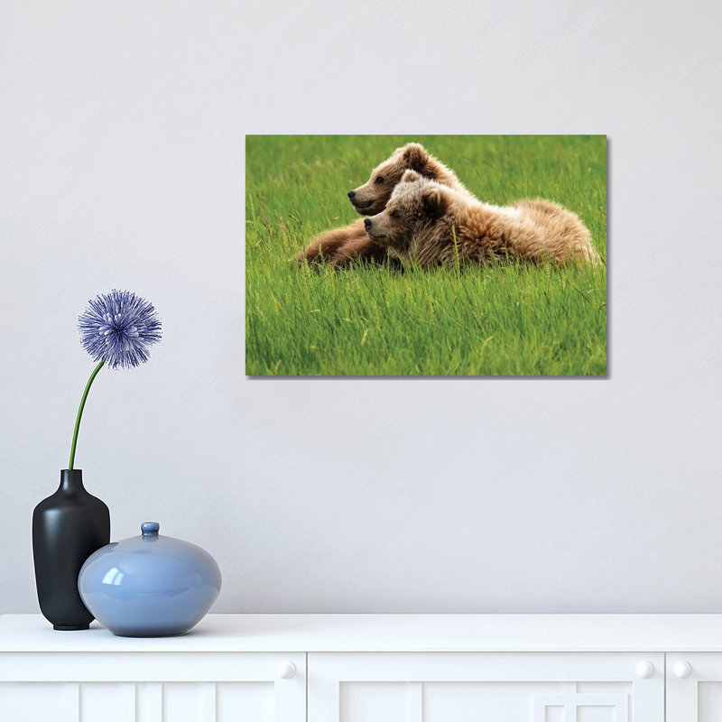 Two Grizzly Bears on Grass, Alaska, Usa 1 Piece Wrapped Canvas Wall Art, 30.48 cm H x 45.72 cm W