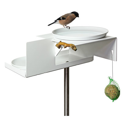 Vejtsberg Metal Modern Architecture Birdbath