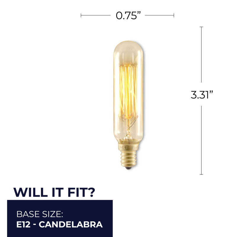 25 Watt, Antique T6 Incandescent, Dimmable Light Bulb, 2200K Base