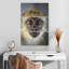 Singe Brampt Vervet-108603572