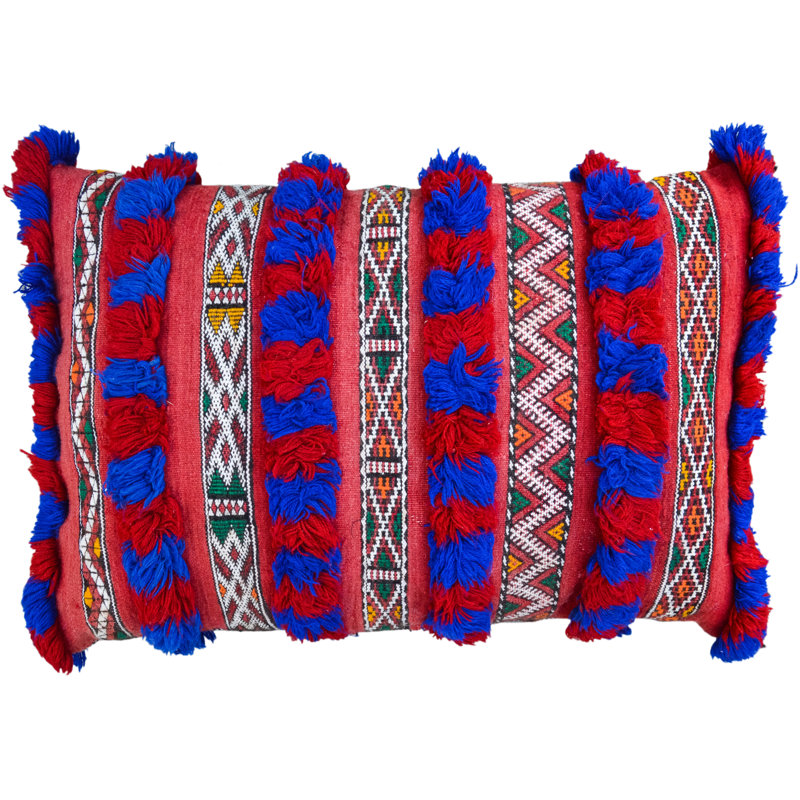 Fringed Reversible Throw Pillow