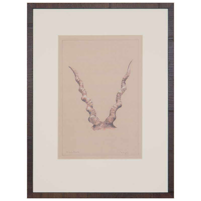 Black Buck - peinture encadrée