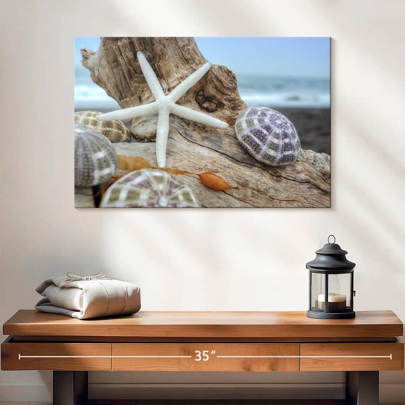 White crescent beach shells vii Aletra, H 16 po x l 24 po