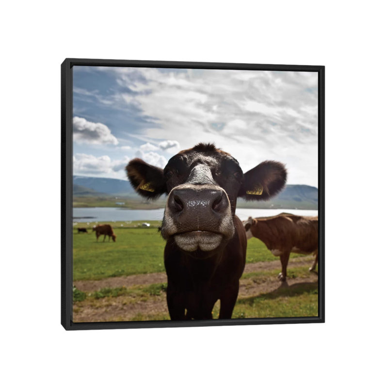 Dites quoi? Reproduction de photo sur toile tendue, H 37 po x l 37 po x P 1,5 po, Toile encadrée noire, Pas de tapis