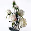 Plastic, Silk Artificial Arrangement-88685020