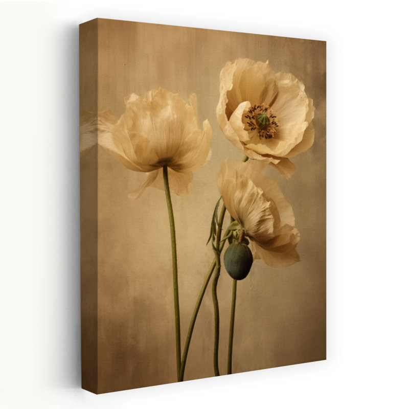 Delicate Cream Poppies by Bilge Paksoylu - Wrapped Canvas Print, 91.44 cm H x 60.96 cm W