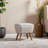 Karlisha Upholstered Ottoman-664960224