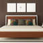 Coussin Alexis-1895497134