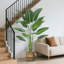 Plant-1534334906-1534334907