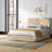 Cletus Upholstered Storage Bed-1705430287