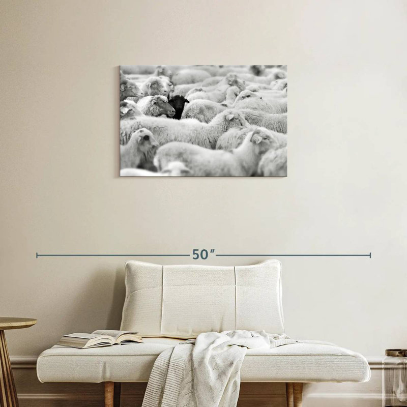 Distinct Black Sheep, 20" H x 30" W