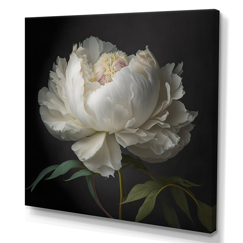 Blooming White Peony VI - Print on Canvas, 36" H x 36" W, Wrapped Canvas, No Frame