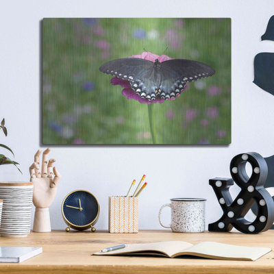 «Butterfly Resting Spot II» par Lori Deiter sur