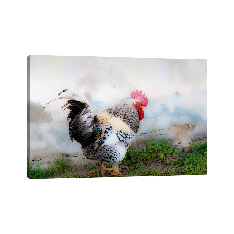 The Austrian Rooster, Austria 1 Piece Wrapped Canvas Wall Art, 66.04 cm H x 45.72 cm W x 1.91 cm D