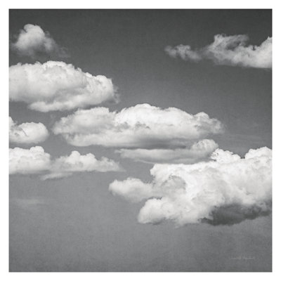 Calm Days III BW Crop With Border by Elizabeth Urquhart - Wrapped Canvas Painting