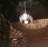 Harrop 1 - Light Unique/Statement Pendant