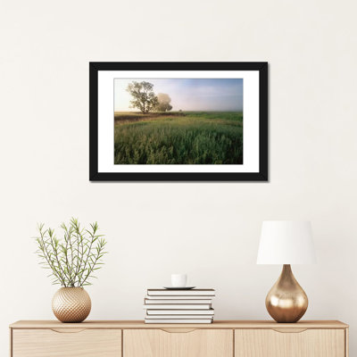 Chênes enveloppés de brouillard, prairie d'herbes hautes à Flint Hills qui a été envahie par de grands brome, Kansas, par Tim Fitzharris - reproduction imprimée