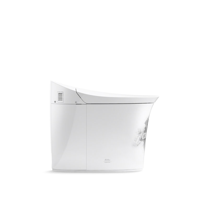Landshapes By Daniel Arsham One-Piece Elongated Smart Toilet Dual-Flush