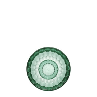 Jellies Wall Hook