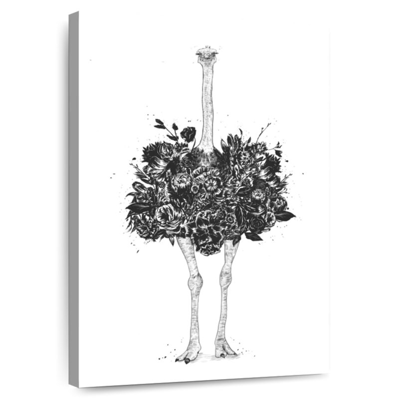 Brampt Floral Ostrich, 39" H x 26" W
