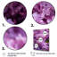 «Lilac mauve», reproduction sur toile-288418861-288418862