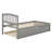 Onaigh Twin Wood Platform Bed with Trundle-1717194161