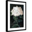 «White Blossoms on Dark Canvas No. 1» par Alex Black, reproduction d'art encadrée