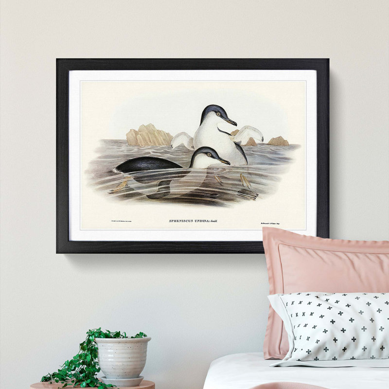 Little Blue Penguins by Elizabeth Gould - Picture Frame Painting Print, Black Framed, 48cm H x 65cm W x 2cm D