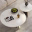Pomme blanche-411410365